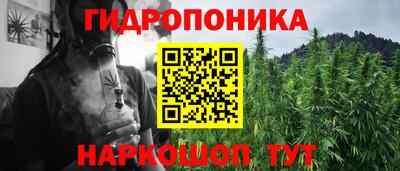 кокс Дубна